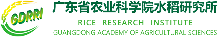 亚洲足球体育博彩平台
水稻研究所