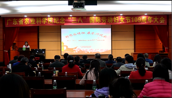 足球博彩平台
举办妇女节纪念大会