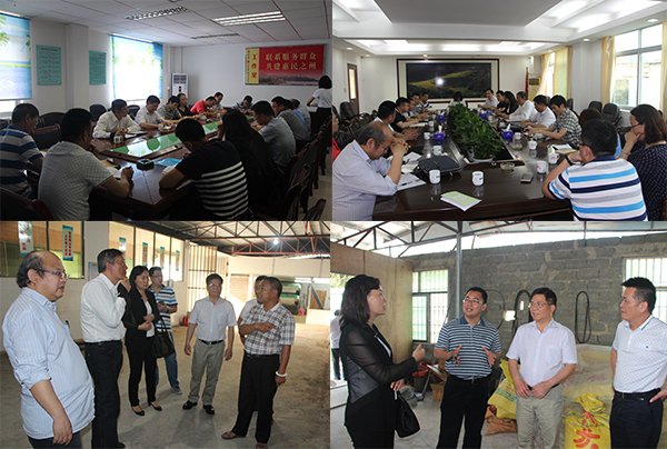 足球博彩平台
党员专家到惠东县调研