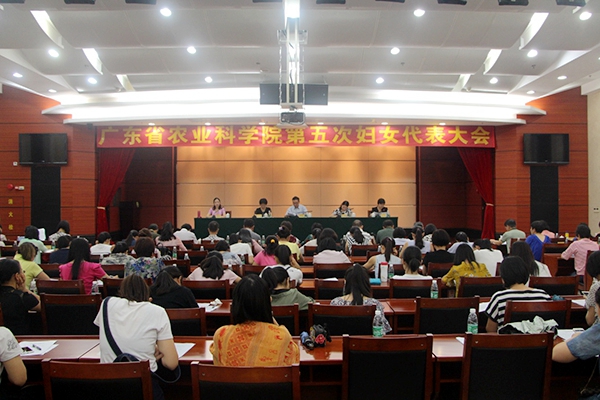 足球博彩平台
召开第五次妇女代表大会