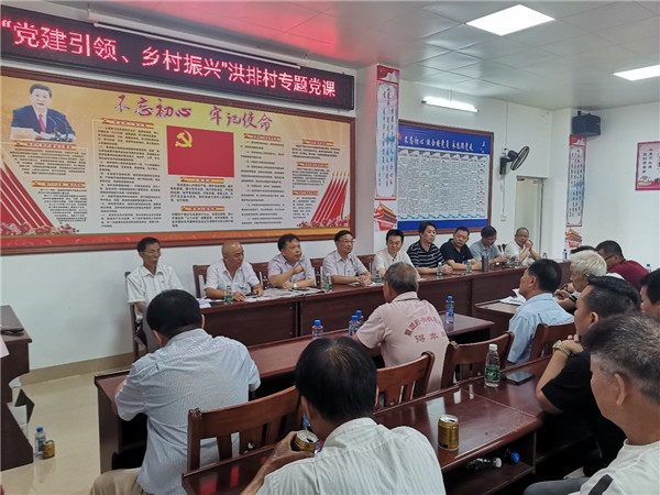 廖森泰率队赴洪排村检查指导