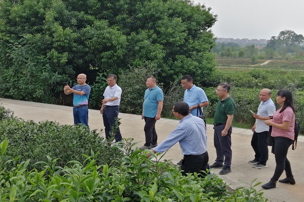 广西茶叶科学研究所到院茶叶所交流2 - 副本.jpg