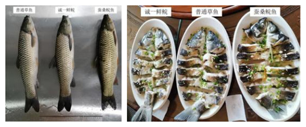 微信图片_20211122172006_副本 (3).jpg