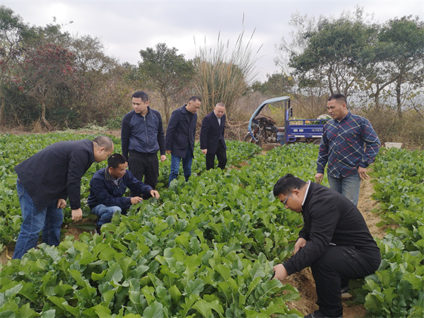 植保所专家赴韶关市开展科技帮扶活动-1.jpg