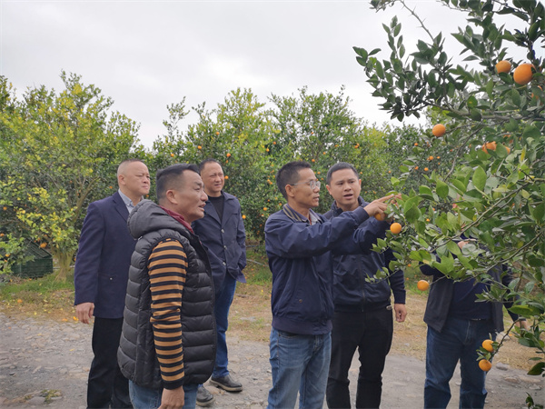 植保所专家赴韶关市开展科技帮扶活动-2.jpg