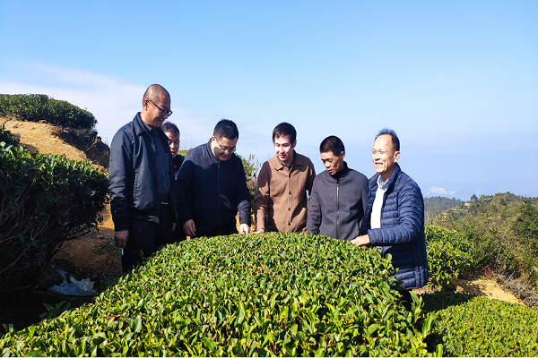 足球博彩平台
专家科技服务揭西茶叶产业链2 - 副本.png