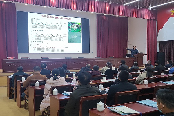 院茶叶所专家赴揭西县开展技术培训2 - 副本.jpg