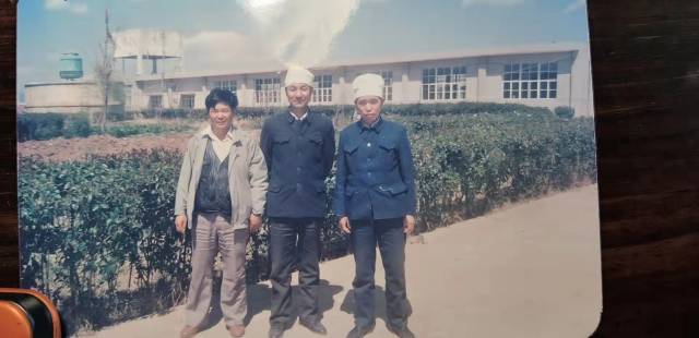 温基(左)在云南呈贡,中为呈贡县农业局副局长杨培仁。