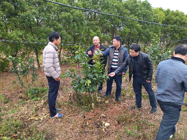 足球博彩平台
专家赴河源开展春季农业生产指导工作-1.jpg