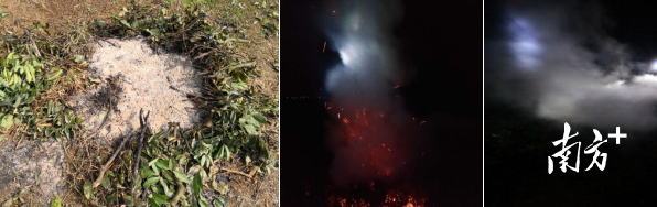 熏烟防冻处理 熏烟防冻处理