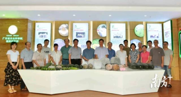 省农科院蔬菜所瓜类资源与育种学科团队。