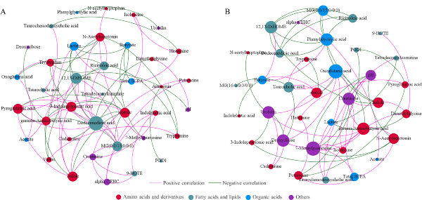 图3 基于Spearman’s相关性分析图.jpg