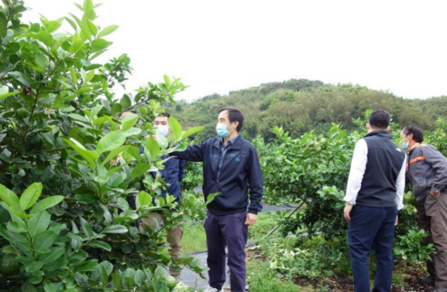 专家田间技术指导。 专家田间技术指导。