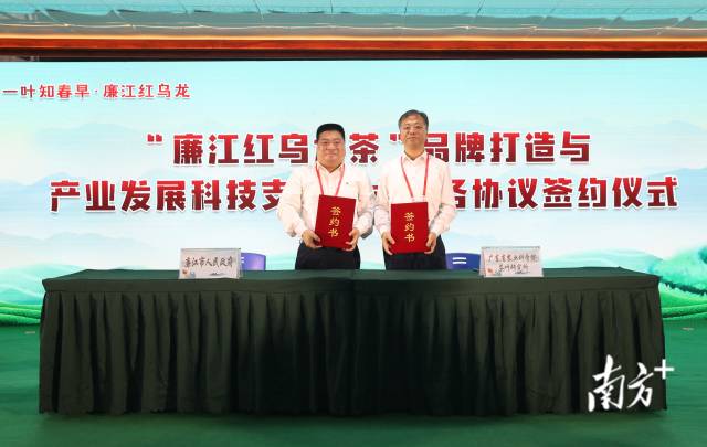 廉江市政府与广东省农科院签订“廉江红乌龙茶”品牌打造与产业发展科技支撑技术服务协议。