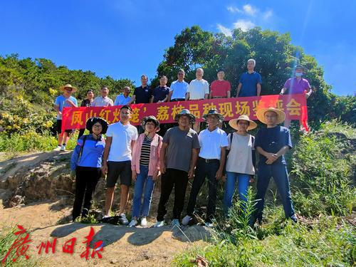 打造荔枝种业最强“芯”,优质荔枝品种“凤山红灯笼”通过全国热带作物品种委员会审定