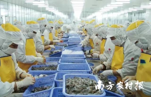 资料图片 资料图片