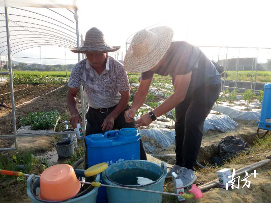 南方农村报 杨吉龙 拍摄