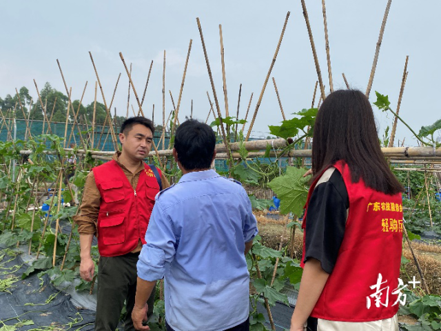 南方农村报 杨吉龙 拍摄
