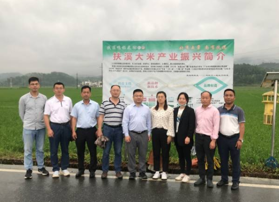 专家和领导们在仁化扶溪稻米产业园地合影。 专家和领导们在仁化扶溪稻米产业园地合影。