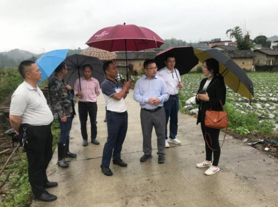 专家们在闻韶镇莞仁农旅水稻生产基地交流。专家们在闻韶镇莞仁农旅水稻生产基地交流。 专家们在闻韶镇莞仁农旅水稻生产基地交流。专家们在闻韶镇莞仁农旅水稻生产基地交流。