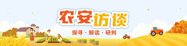 南方农村报 龙舟 制图