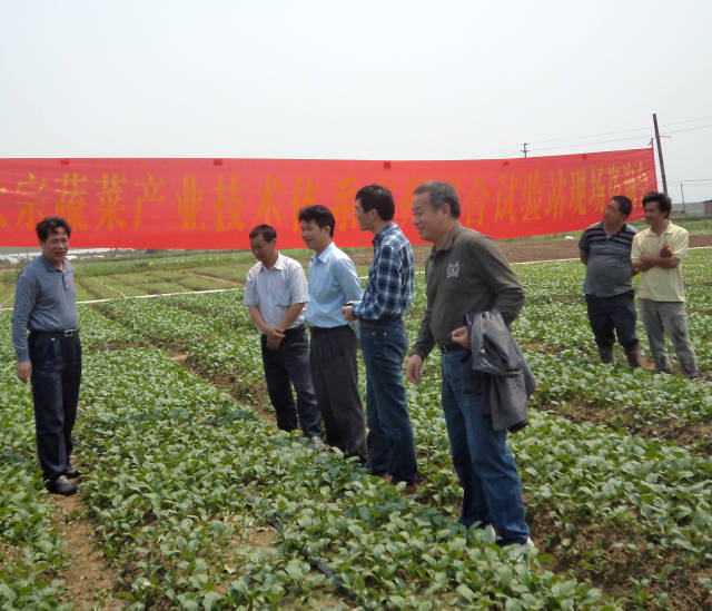 南方农村报 龙舟 拍摄