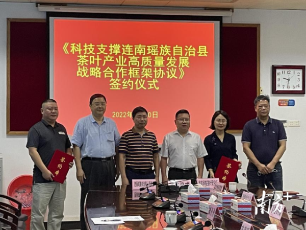 签约后,省农科院将为连南茶产业发展提供科技支撑。通讯员供图 签约后,省农科院将为连南茶产业发展提供科技支撑。通讯员供图