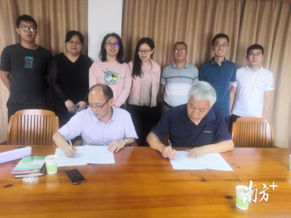 广东省农科院与茂名市林科所签署框架结构合作协议,共同开发和推广以广赤眼蜂为主的生物防控技术。 广东省农科院与茂名市林科所签署框架结构合作协议,共同开发和推广以广赤眼蜂为主的生物防控技术。