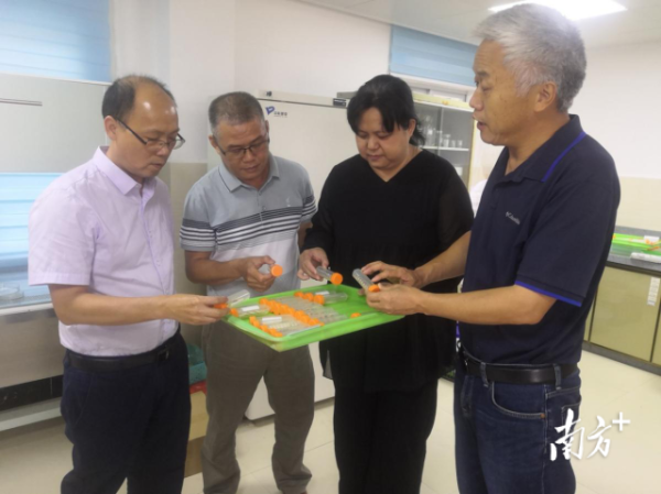 广东省农科院专家了解广赤眼蜂扩繁进展情况。