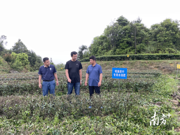 南方+ 马吉池 拍摄