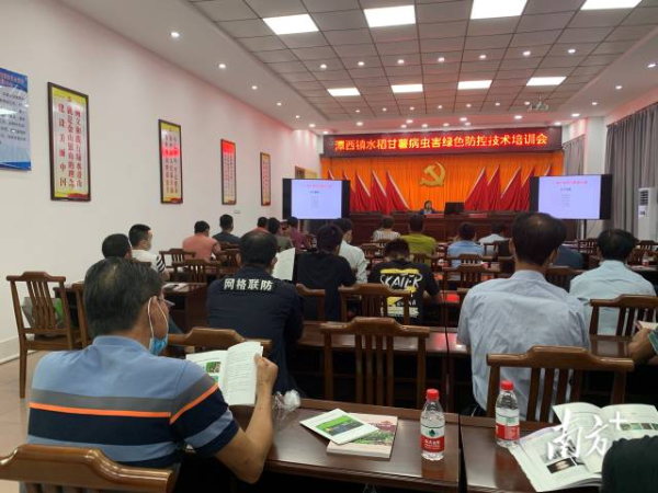 培训会现场 培训会现场