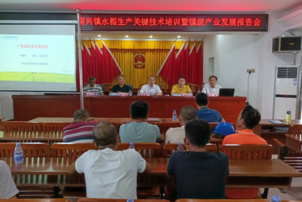 专题报告会场。 专题报告会场。