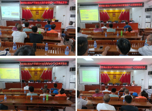 培训活动现场。 培训活动现场。