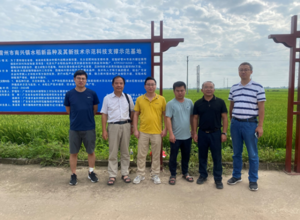 专家们在南兴镇梅田村新品种新技术试验示范基地调研。 专家们在南兴镇梅田村新品种新技术试验示范基地调研。