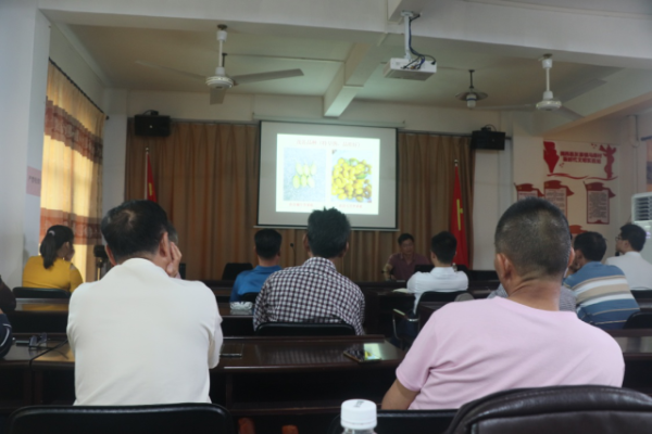 技术培训会现场 技术培训会现场