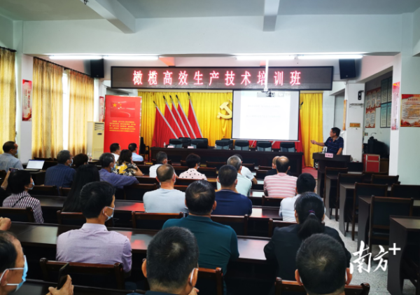 培训现场。 培训现场。