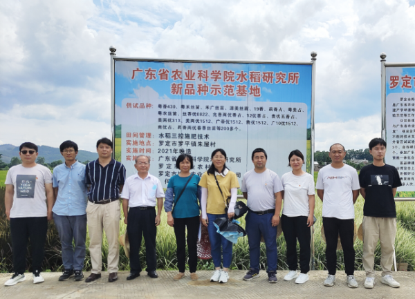 罗定市桦一农业科技有限公司水稻生产试验基地现场。 罗定市桦一农业科技有限公司水稻生产试验基地现场。