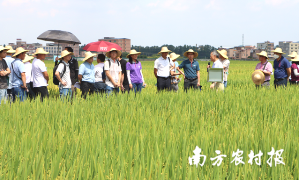 参会人员现场观摩。