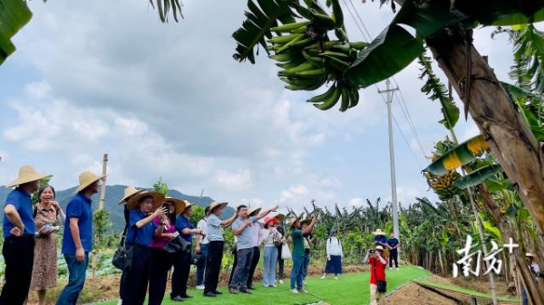 2 南方+ 邵一弘 拍摄