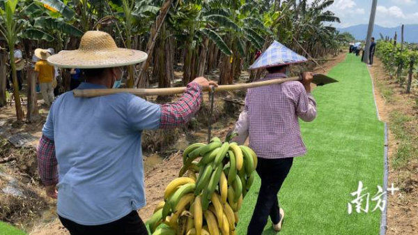 2 南方+ 邵一弘 拍摄