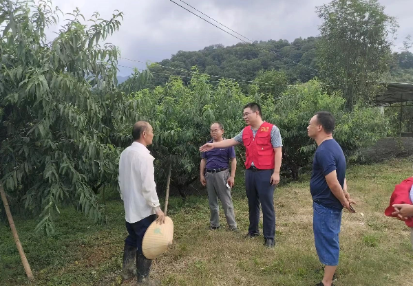 果树所专家赴韶关开展灾后复产技术指导01.jpg