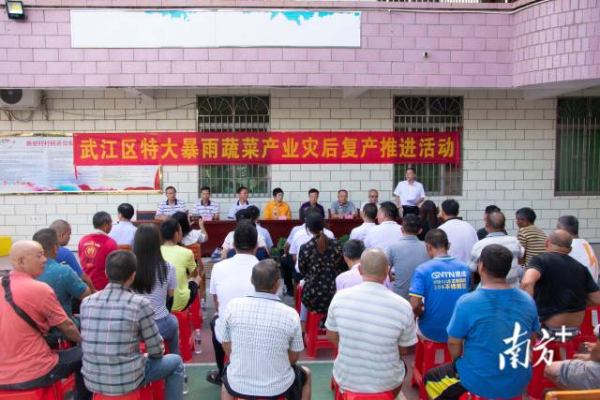 活动现场 南方农村报 王俊涛 拍摄 活动现场 南方农村报 王俊涛 拍摄