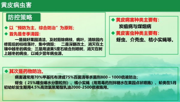黄皮病虫害防控 黄皮病虫害防控