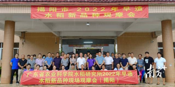 观摩会现场。省农科院供图 观摩会现场。省农科院供图