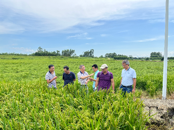 足球博彩平台
专家团队赴廉江市丝苗米产业园开展救灾复产指导.jpg