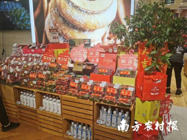 北园绿荔枝上架北京SKP