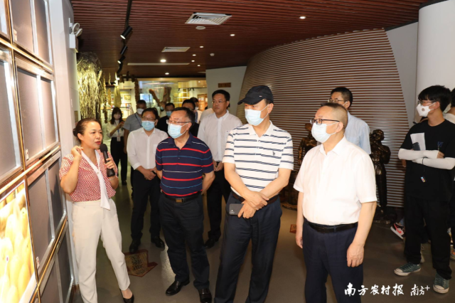 与会院士、专家学者等共同调研新会陈皮国家现代农业产业园丽宫研发加工园，了解丽宫陈皮文化博览馆等情况。