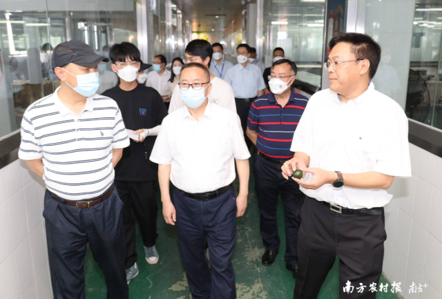 与会院士、专家学者等共同调研新会陈皮国家现代农业产业园丽宫研发加工园，了解丽宫侨宝新会小青柑茶加工等情况。