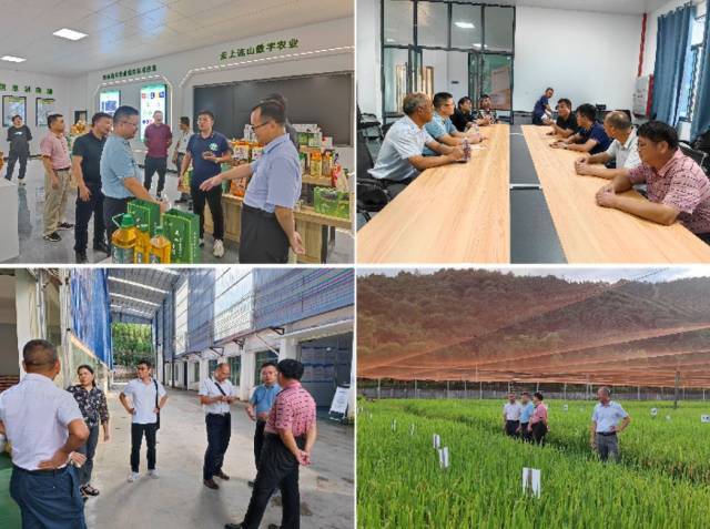 专家们在清远市金爵食品有限公司和连山壮族瑶族自治县民族食品有限公司进行调研和交流。
