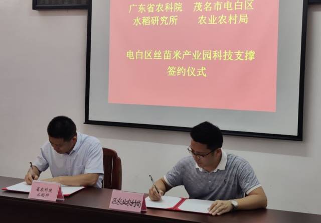 签约仪式现场。